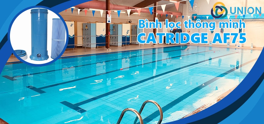 Bộ lọc bể bơi Catridge AF75