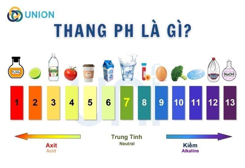 Thang pH là gì?